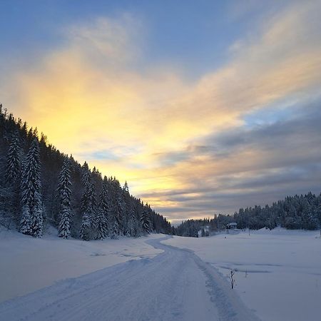 Au Coeur Du Lapidaire Septmoncel-Les-Molunes Zewnętrze zdjęcie