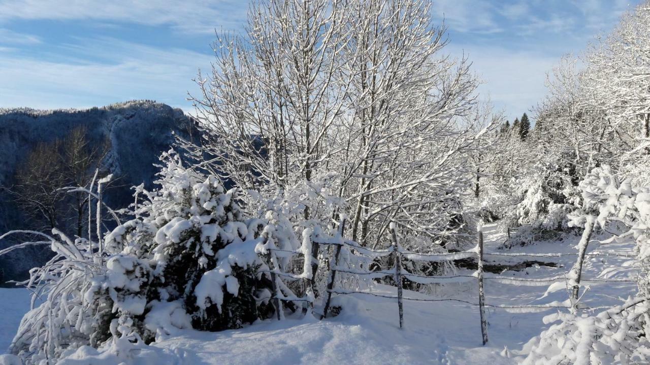 Au Coeur Du Lapidaire Septmoncel-Les-Molunes Zewnętrze zdjęcie