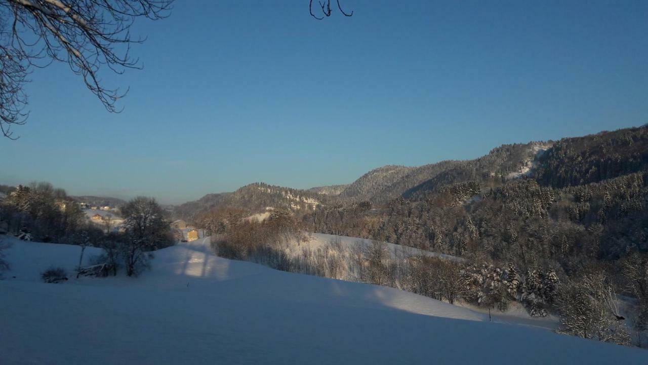 Au Coeur Du Lapidaire Septmoncel-Les-Molunes Zewnętrze zdjęcie