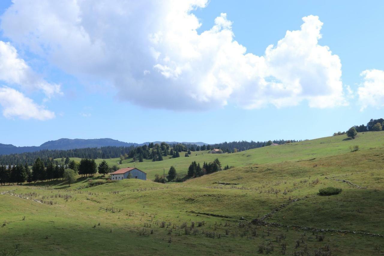 Au Coeur Du Lapidaire Septmoncel-Les-Molunes Zewnętrze zdjęcie
