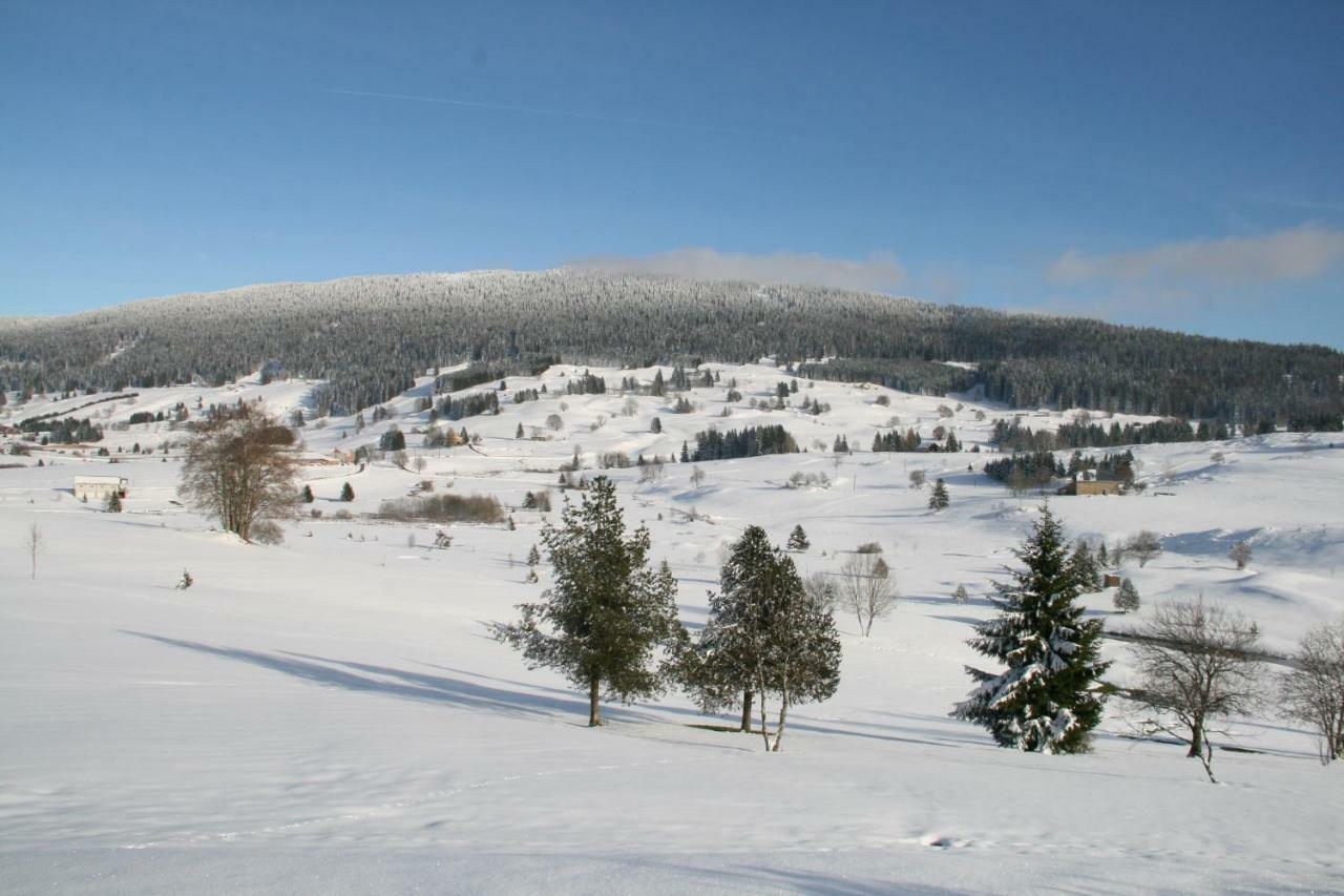 Au Coeur Du Lapidaire Septmoncel-Les-Molunes Zewnętrze zdjęcie