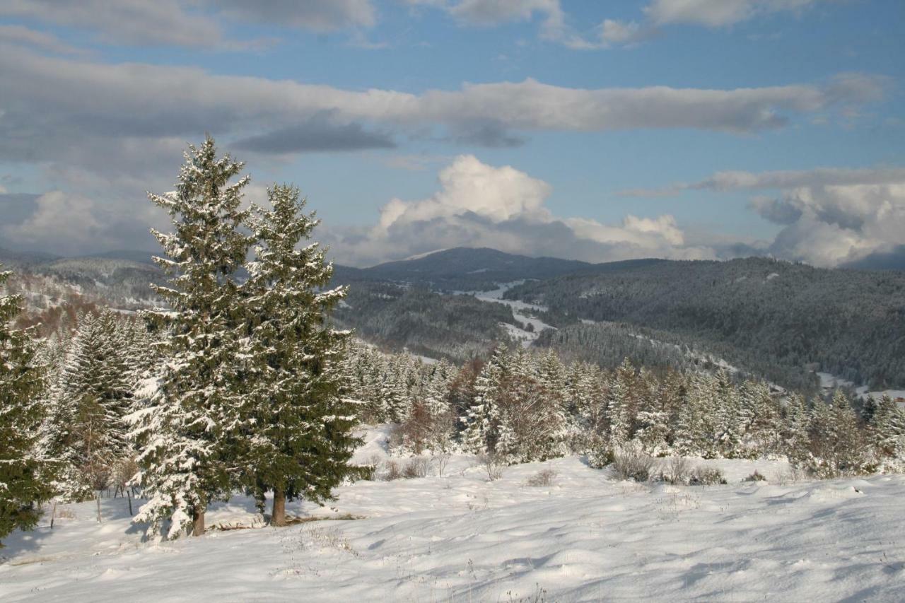 Au Coeur Du Lapidaire Septmoncel-Les-Molunes Zewnętrze zdjęcie