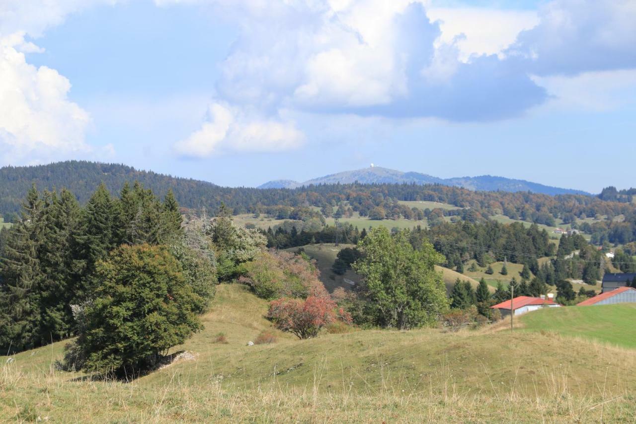 Au Coeur Du Lapidaire Septmoncel-Les-Molunes Zewnętrze zdjęcie