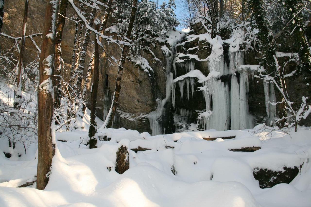 Au Coeur Du Lapidaire Septmoncel-Les-Molunes Zewnętrze zdjęcie