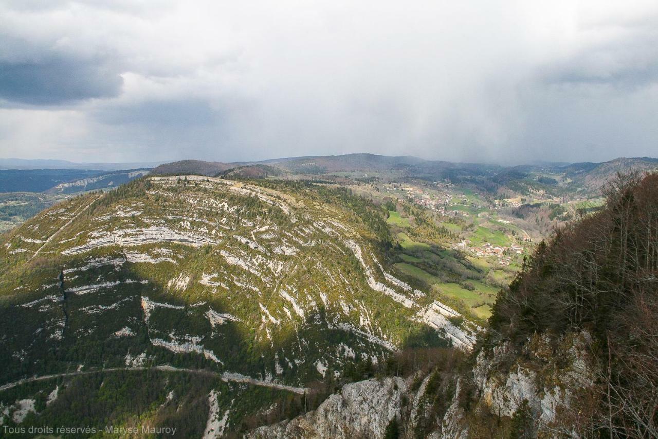 Au Coeur Du Lapidaire Septmoncel-Les-Molunes Zewnętrze zdjęcie