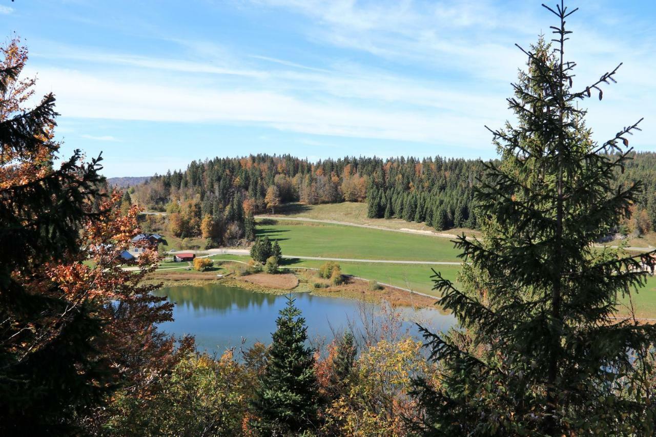Au Coeur Du Lapidaire Septmoncel-Les-Molunes Zewnętrze zdjęcie