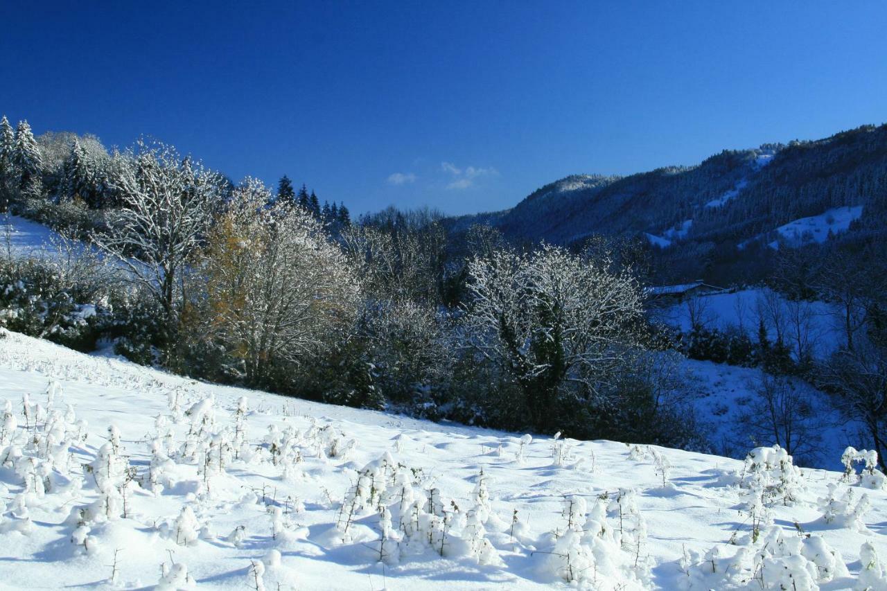 Au Coeur Du Lapidaire Septmoncel-Les-Molunes Zewnętrze zdjęcie