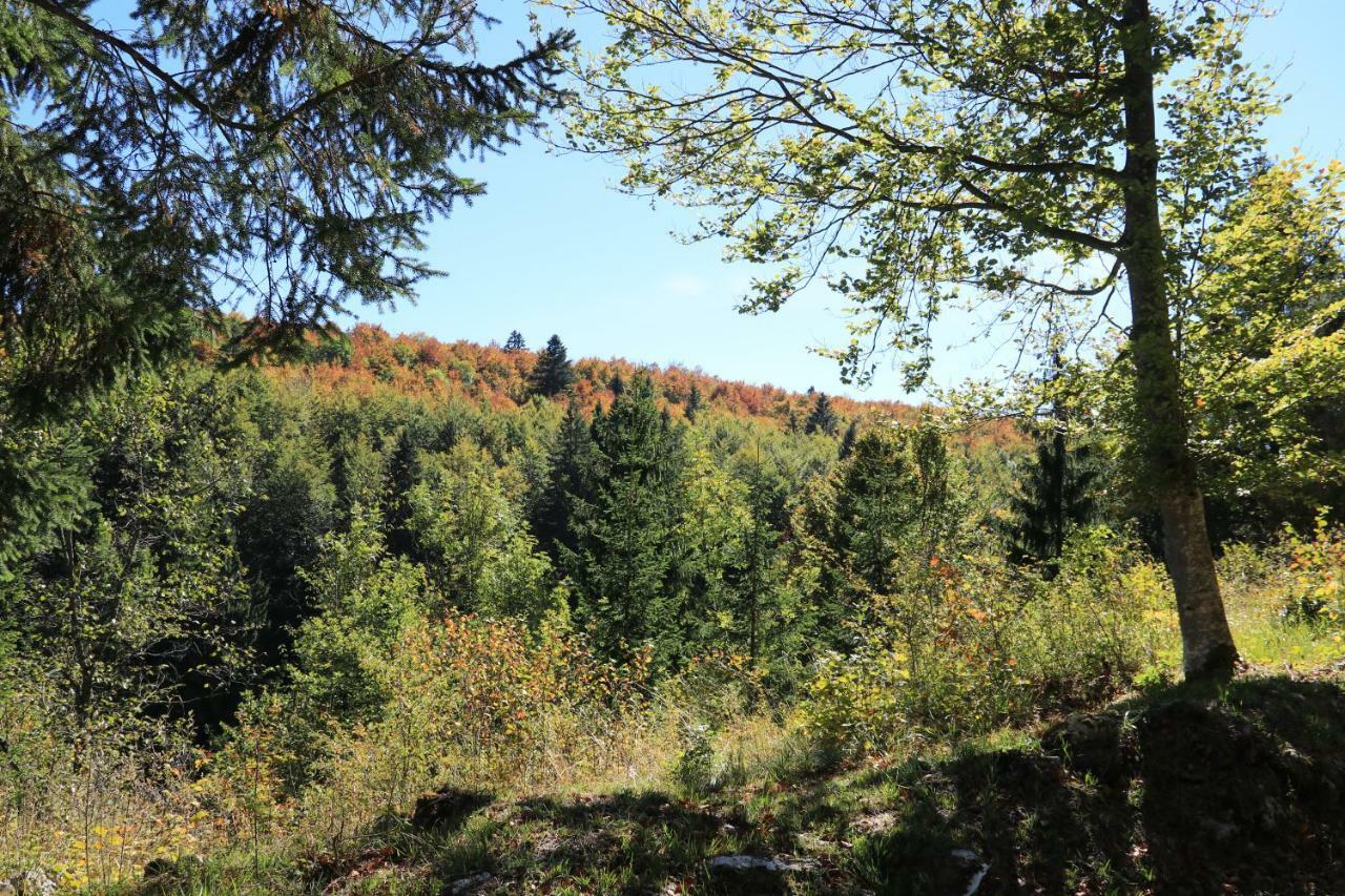 Au Coeur Du Lapidaire Septmoncel-Les-Molunes Zewnętrze zdjęcie